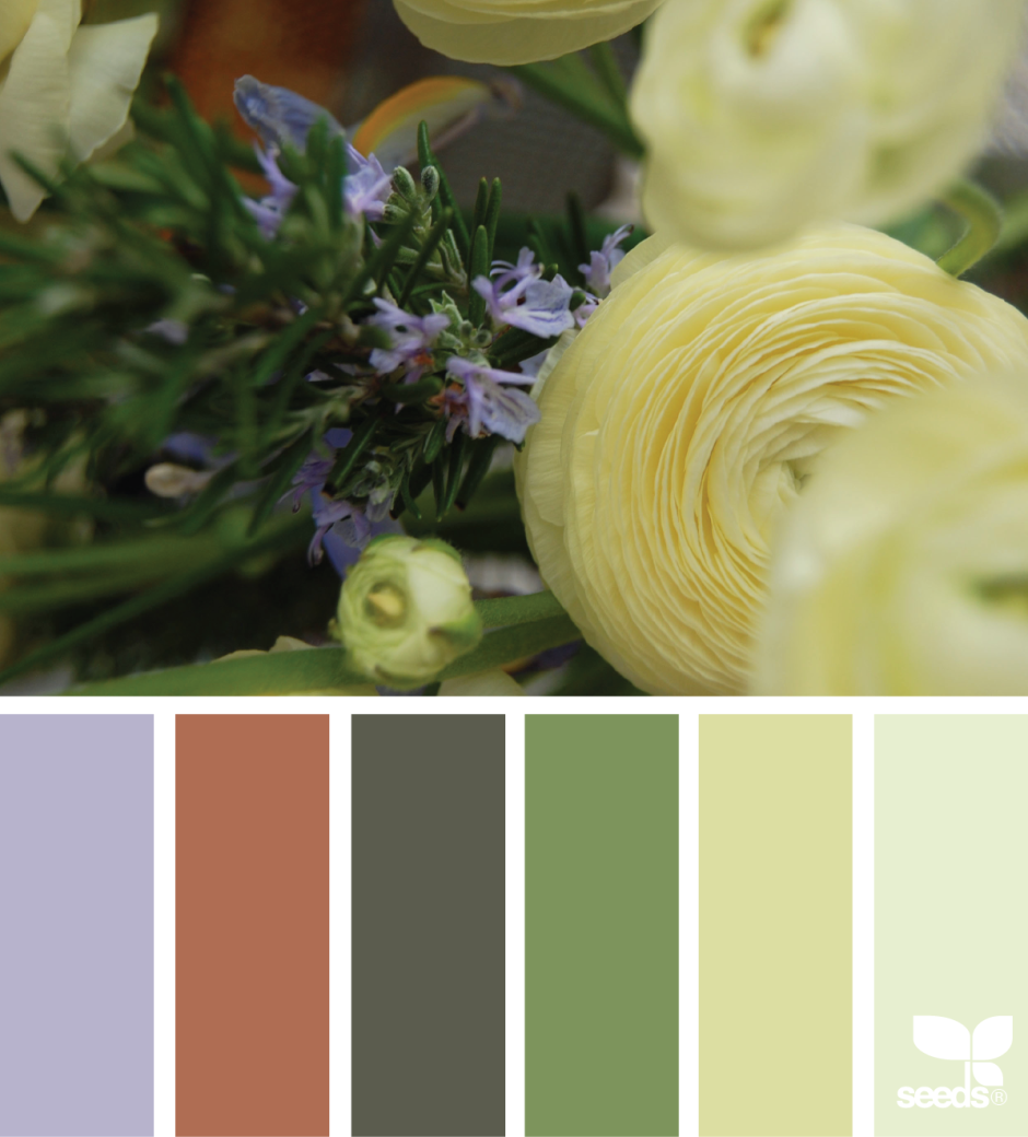 Сочетание цветов фисташковый