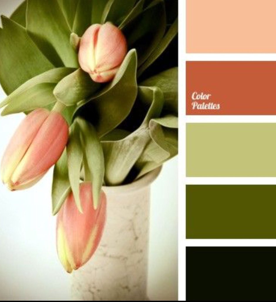 Сочетание цветов оливковый