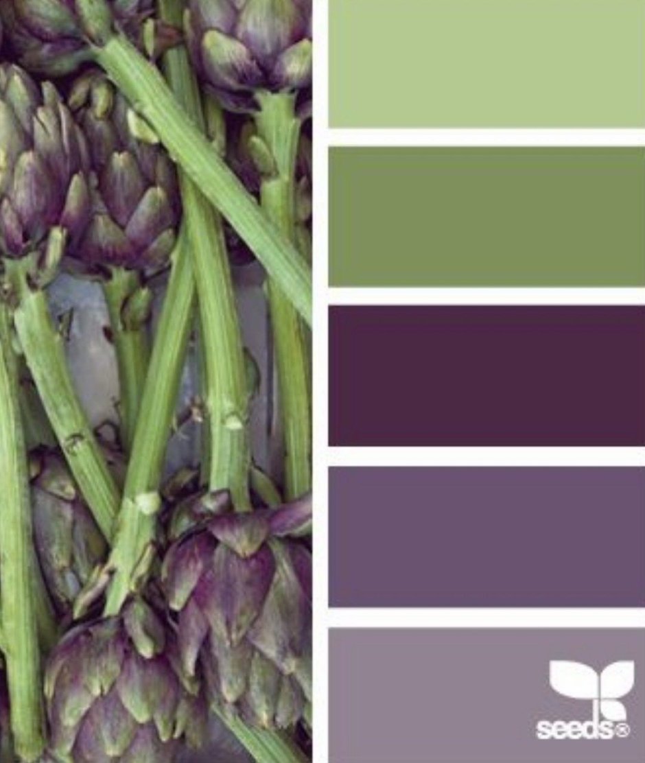 Оливковый цвет сочетание