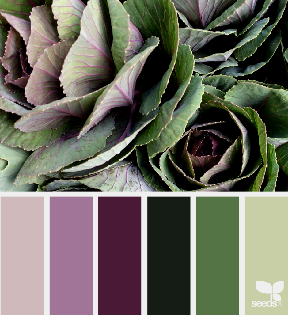 Seeds палитра Изумрудная