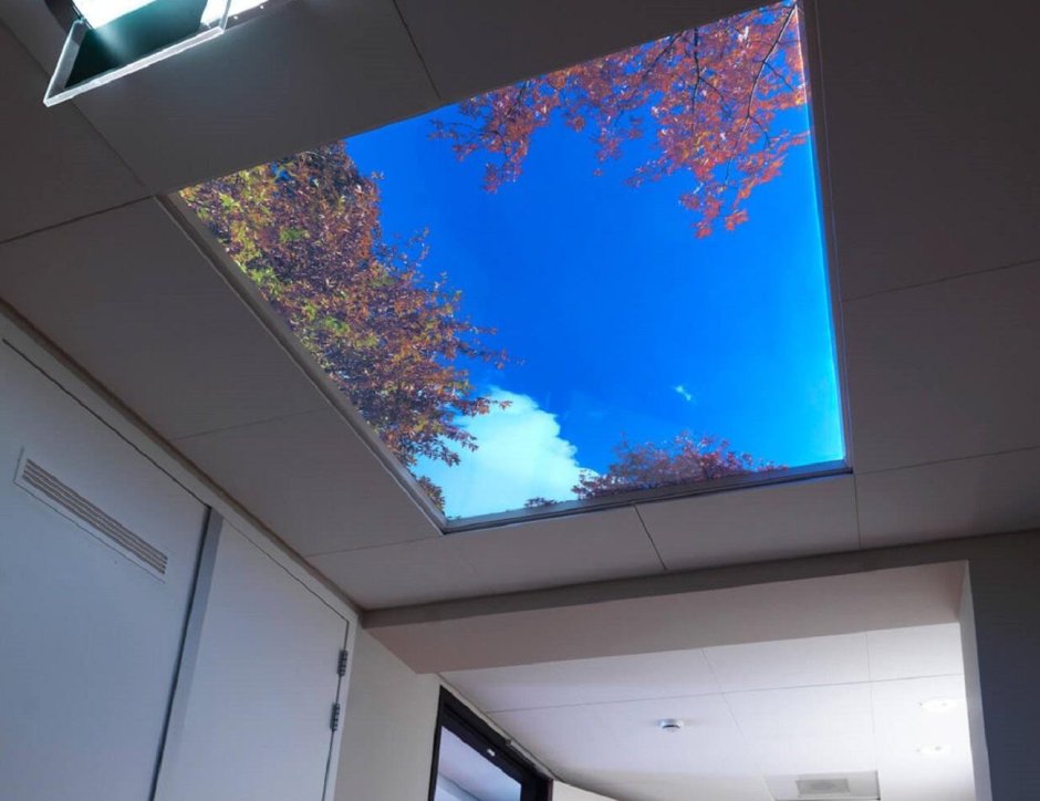 Декор стен в прихожей