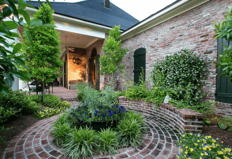 Цветы для патио