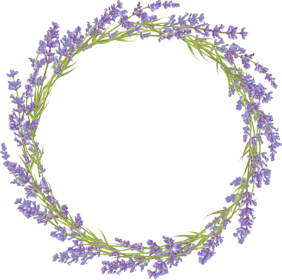 Лаванда рамка