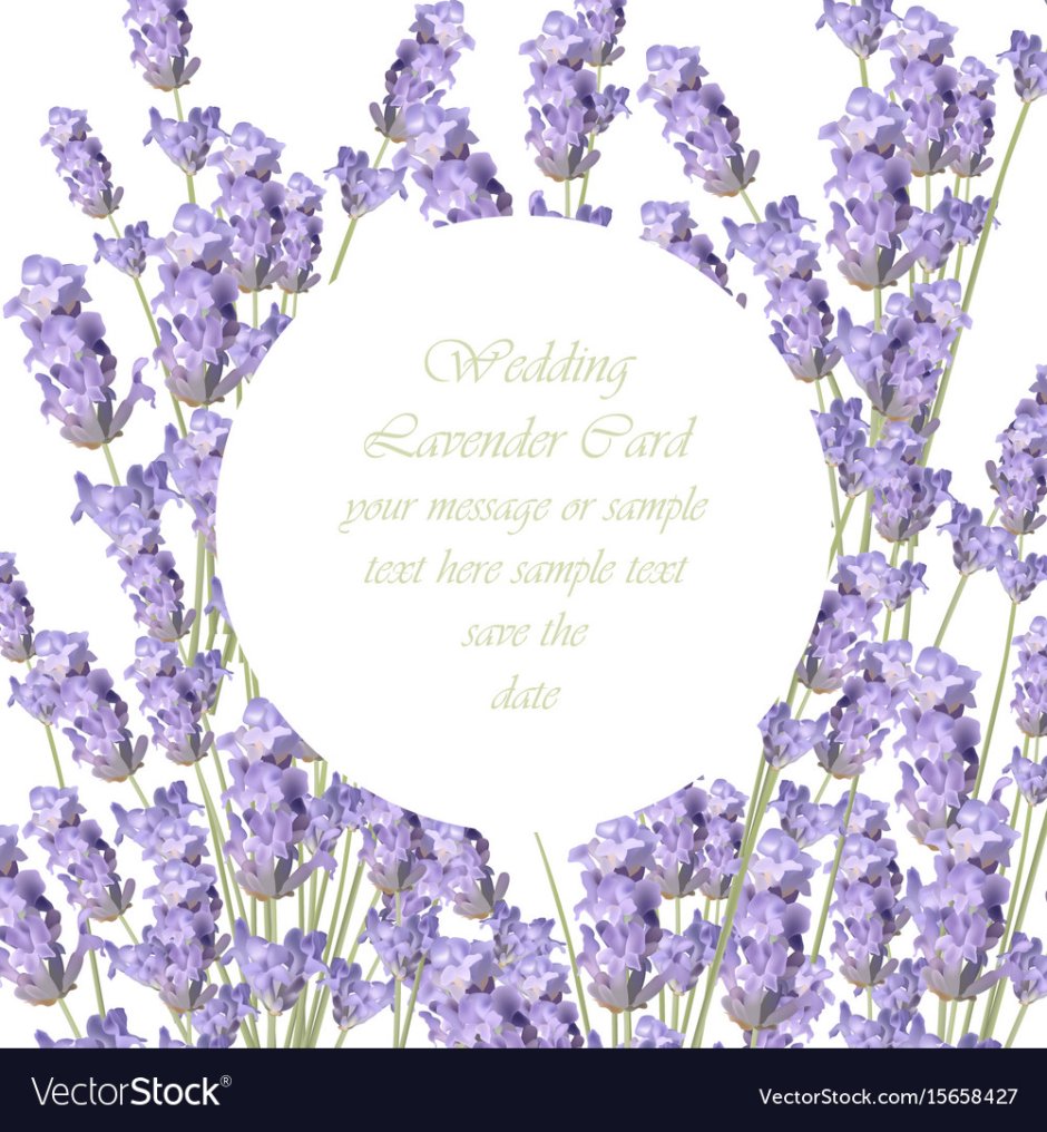 Лавандовая свадьба вектор