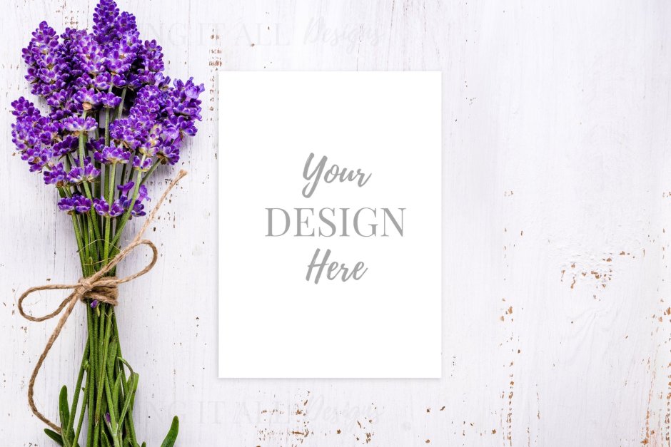 Букет лаванды вид сверху