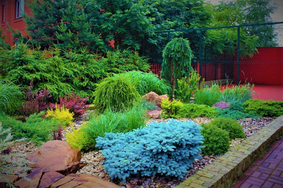 Ель Коника, можжевельник, спирея