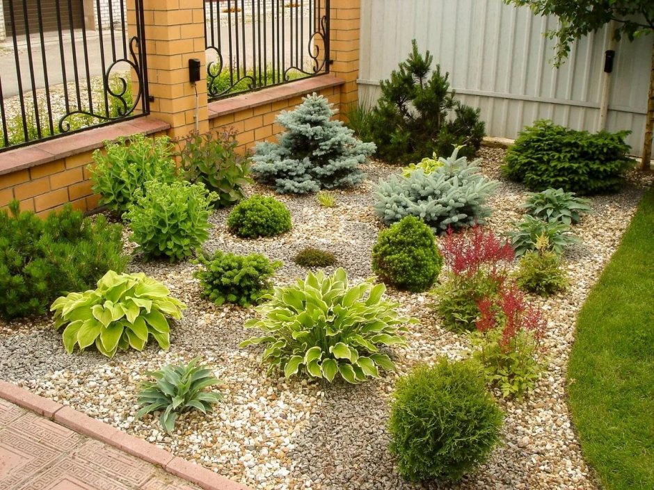 Альпийская горка с барбарисом Тунберга