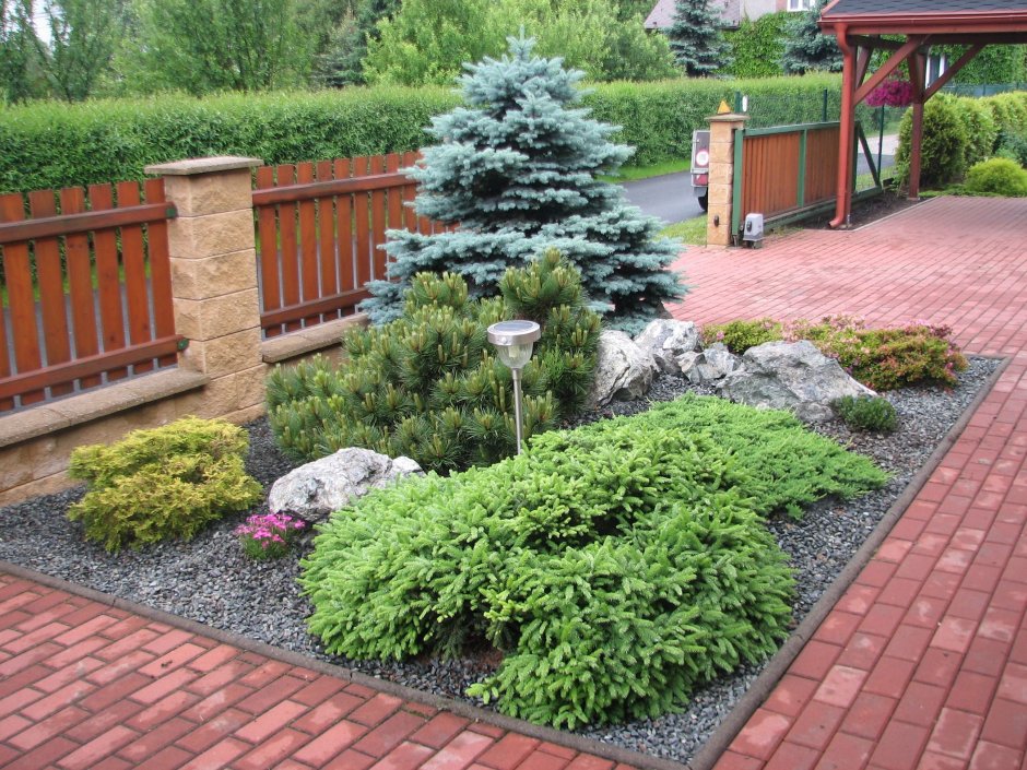 Можжевельник казацкий в миксбордере