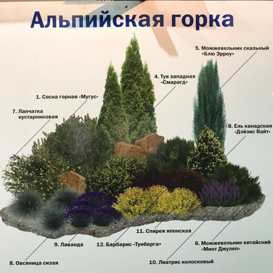 Угловые клумбы с хвойниками