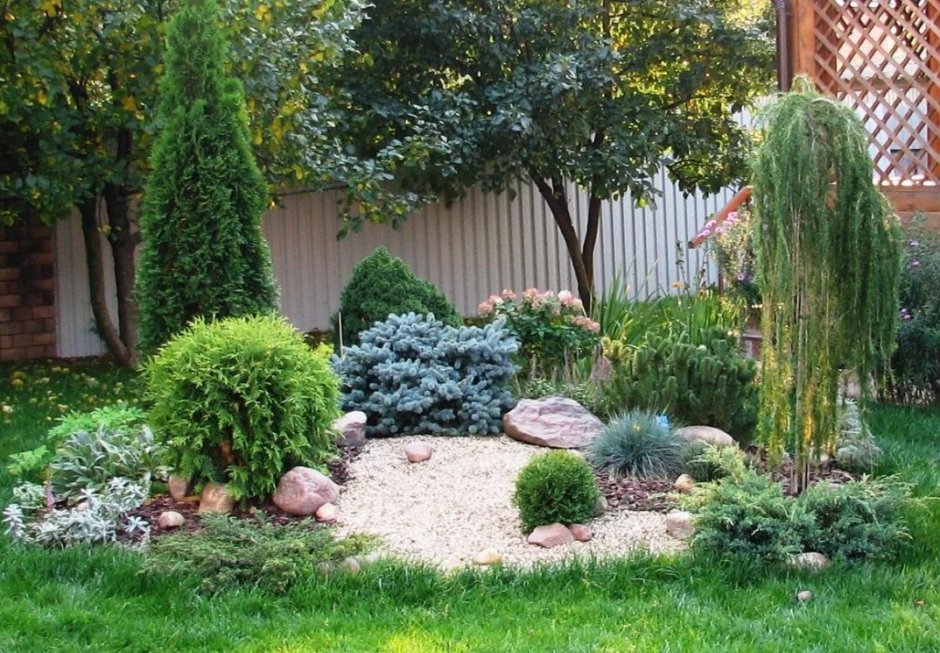 Рокарий с хвойниками схема