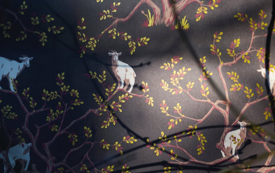 Обои Лоймина Лебедев