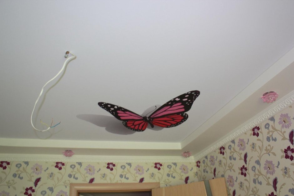 Натяжные потолки с фотопечатью бабочки