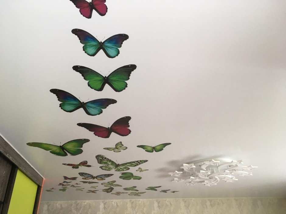 Бабочки на потолке