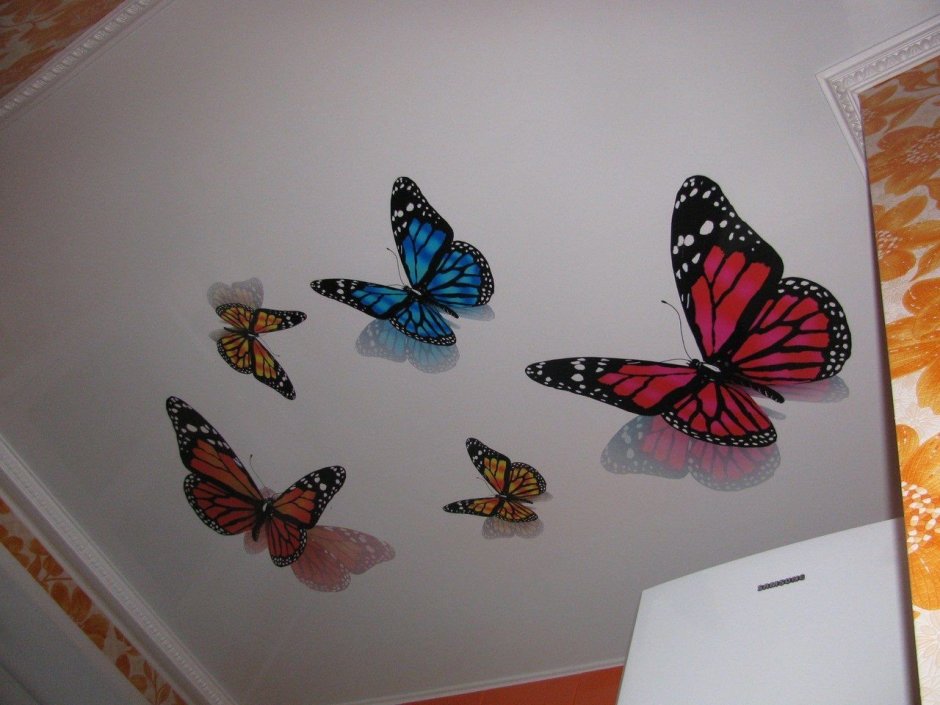 Бабочки на потолке фотопечать