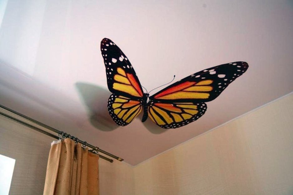 Бабочки на потолке