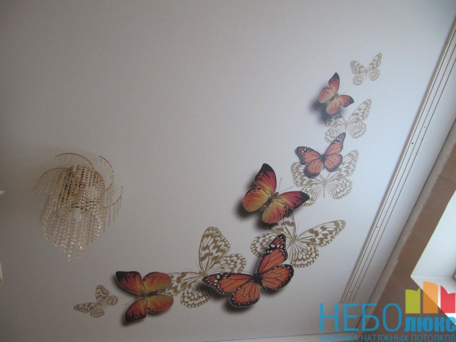 Натяжные потолки с бабочками цветами