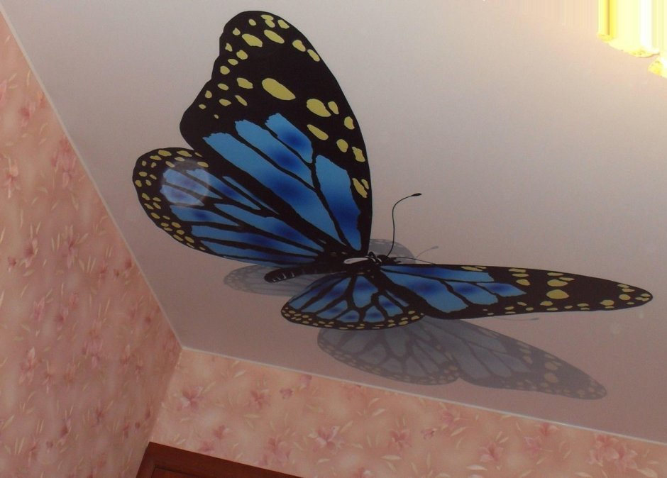 Фотопечать на натяжных потолках для кухни с бабочками