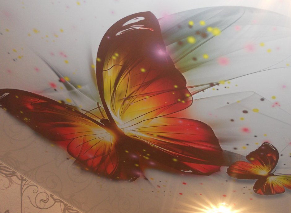 Бабочки на потолке