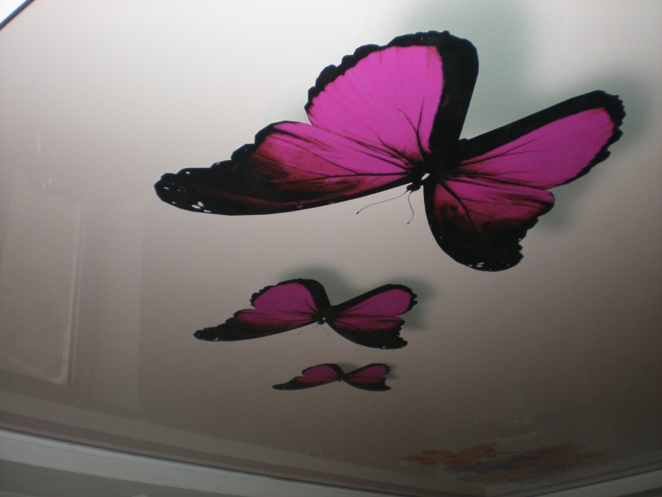 Натяжные потолки с бабочками