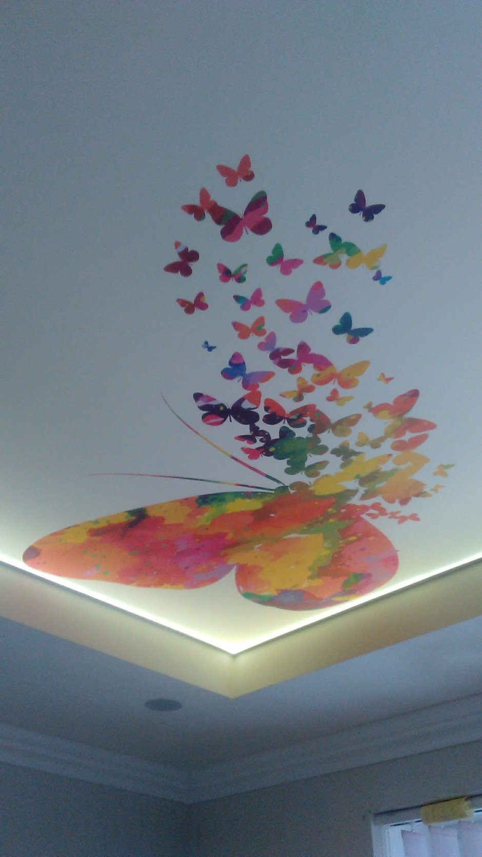Бабочки на потолке