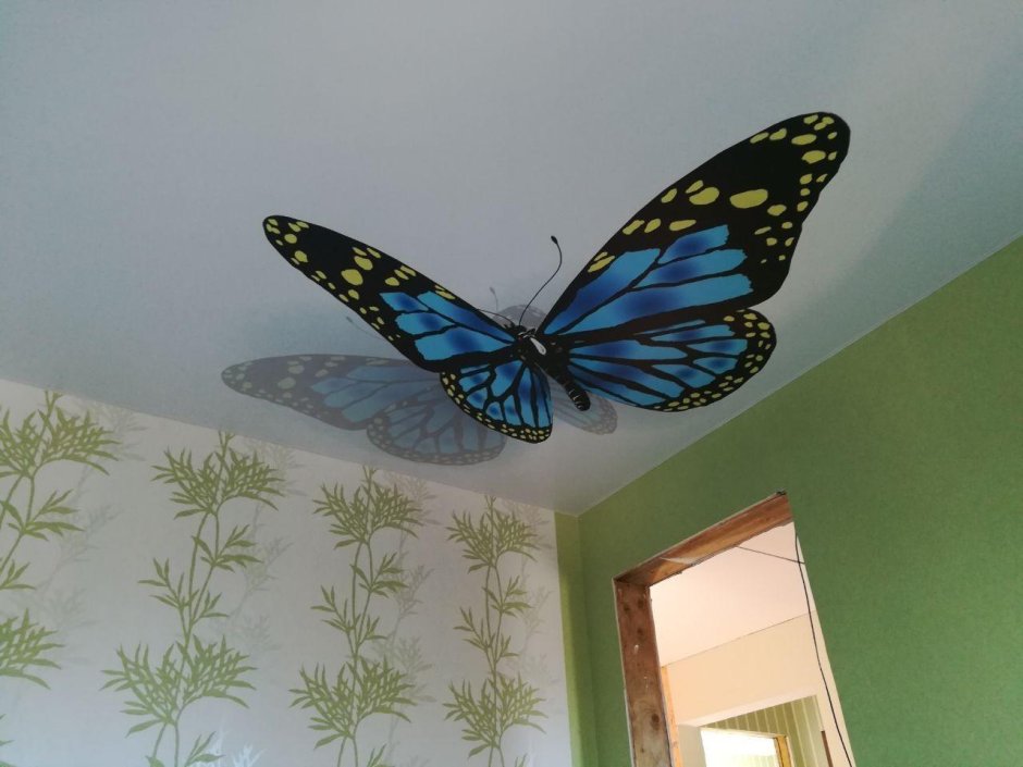 Натяжные потолки с бабочками