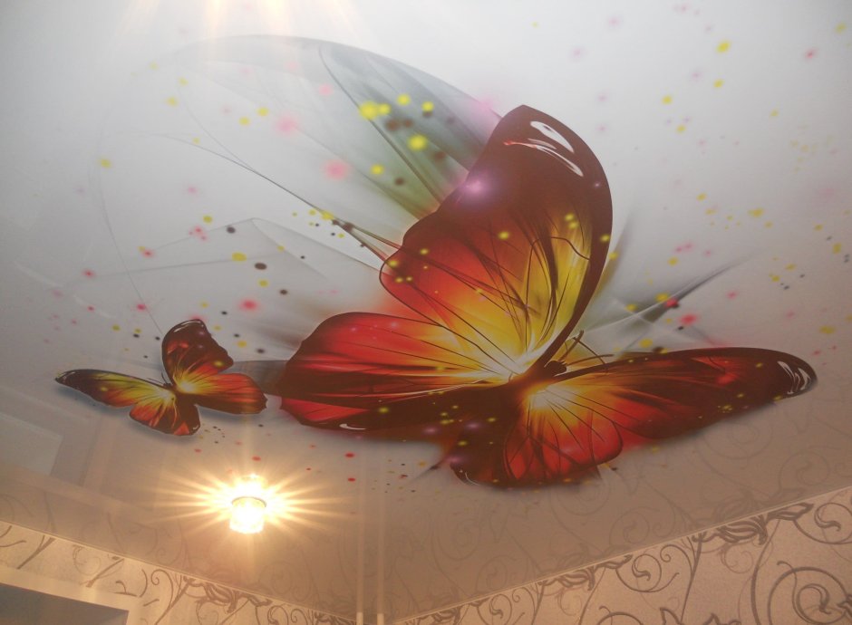 Натяжные потолки фотопечать бабочки 3d