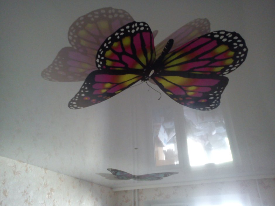 Навесной потолок с бабочками