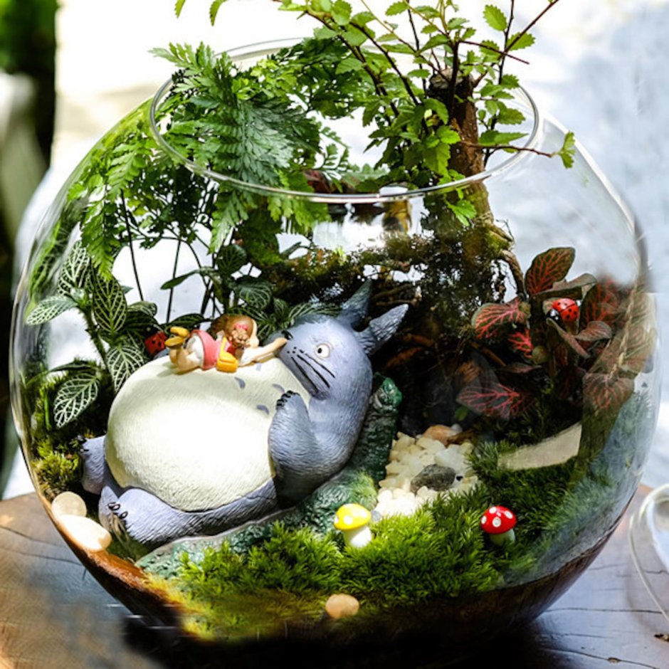 Флорариум сад феи