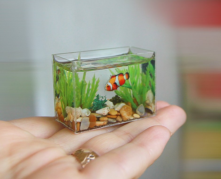 Аквариум kawaii