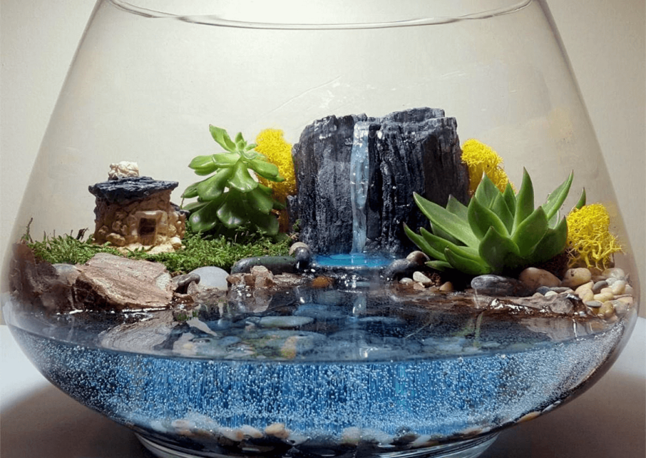 Флорариум с хамедореей