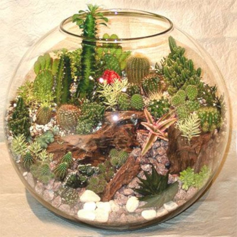 Террариум флорариум аквариум