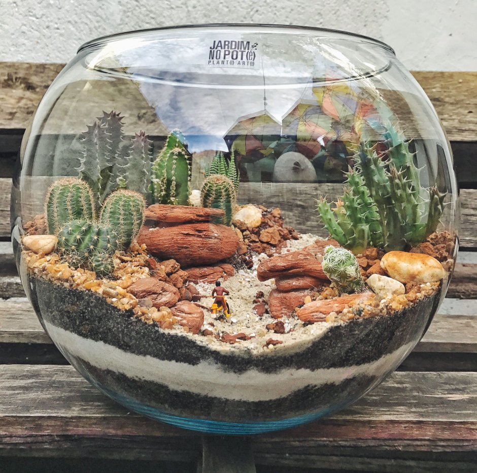 Флорариум мини экосистема