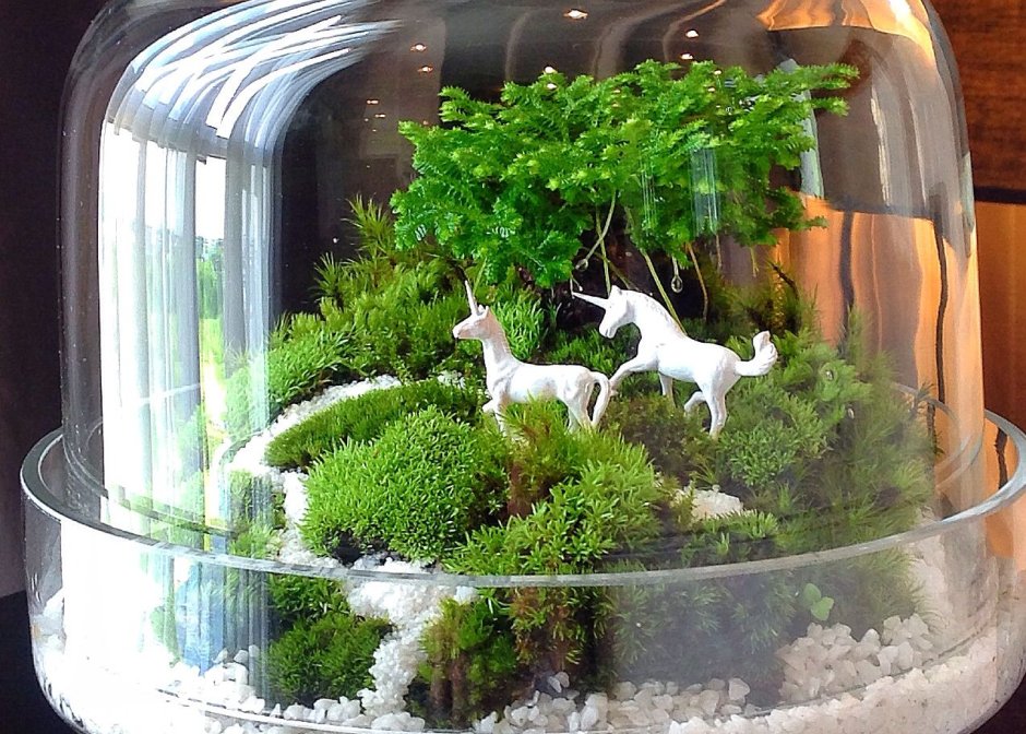 Флорариум с имитацией воды