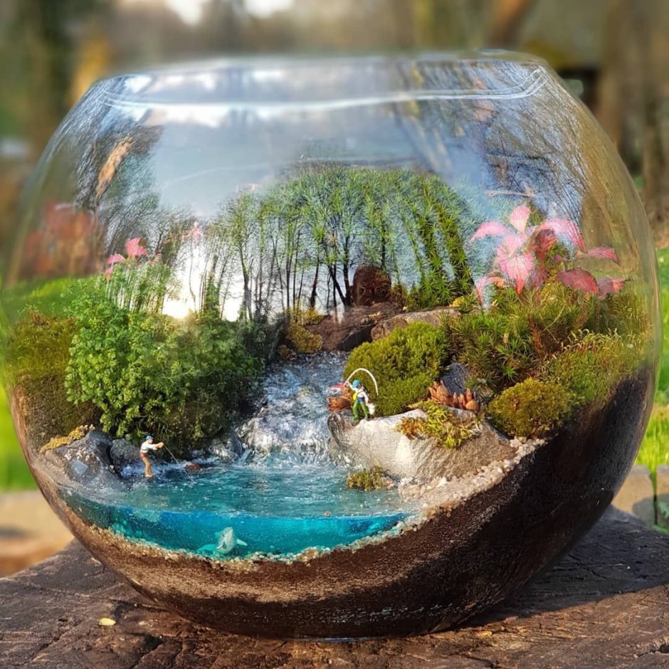 Флорариум Литопс