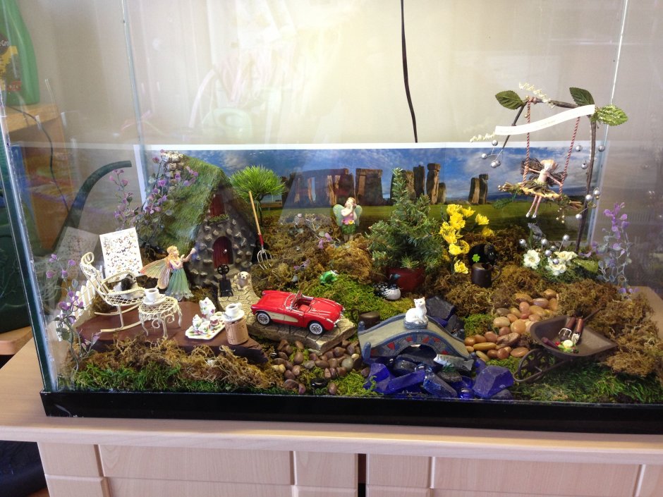 Террариум для суккулентов