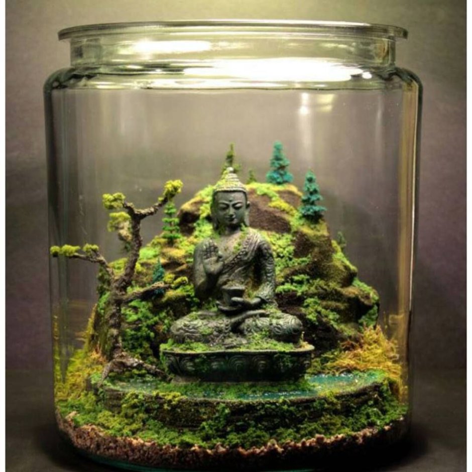 Миниатюрный сад из суккулентов