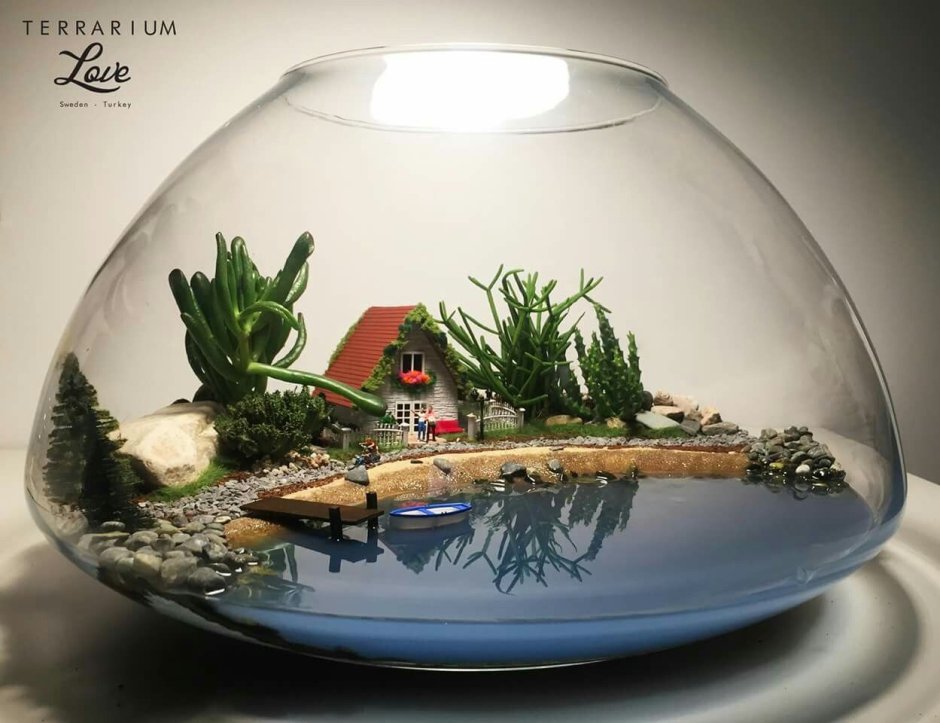 Флорариум джунгли