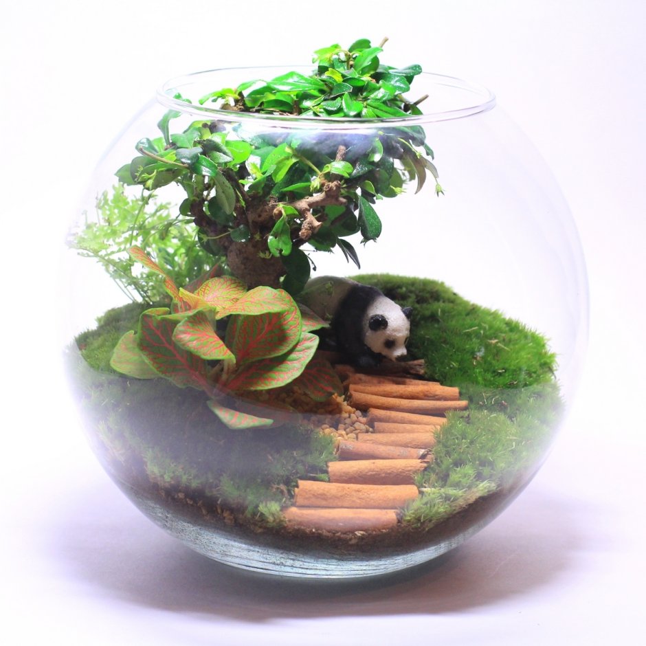 Флорариум с водопадом