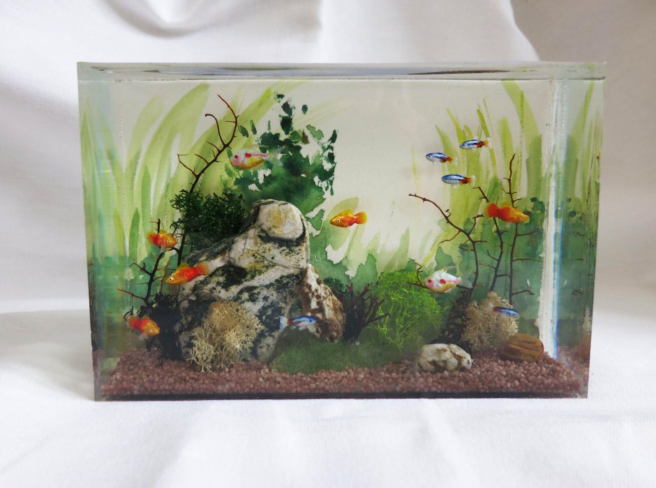 Флорариум с цикламеном