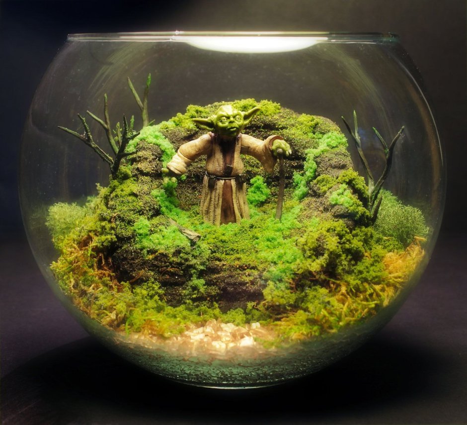 Рыбки для нано аквариума 30 литров