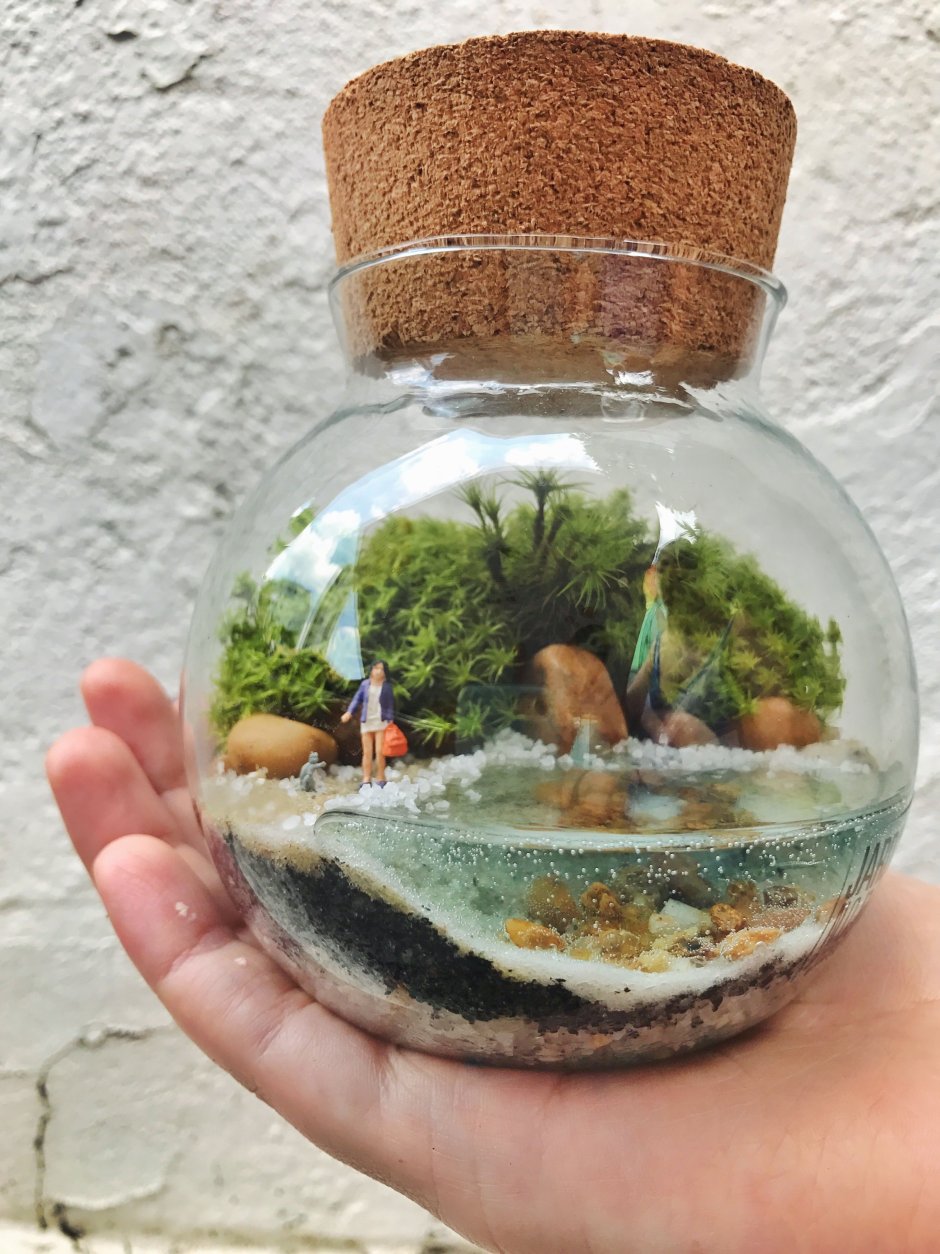 Террариум Мосс бонсай