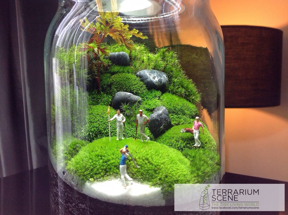 Композиции в аквариуме с рыбками