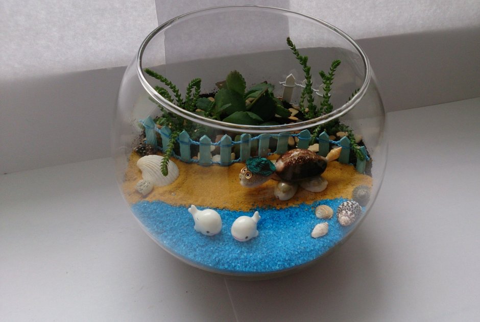 Сухой аквариум в вазе