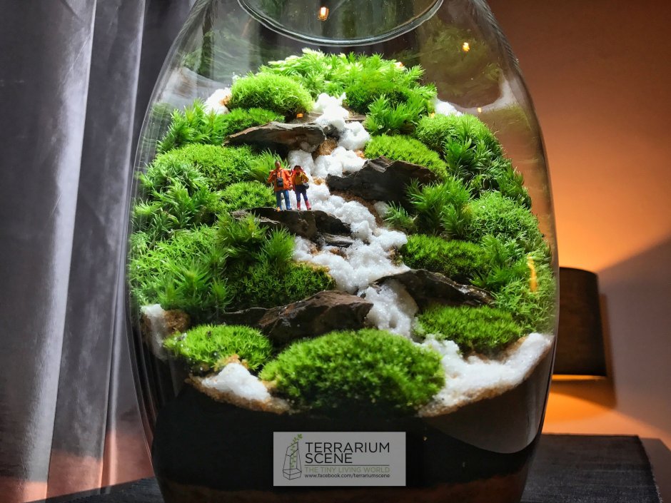 Флорариум Звездные войны