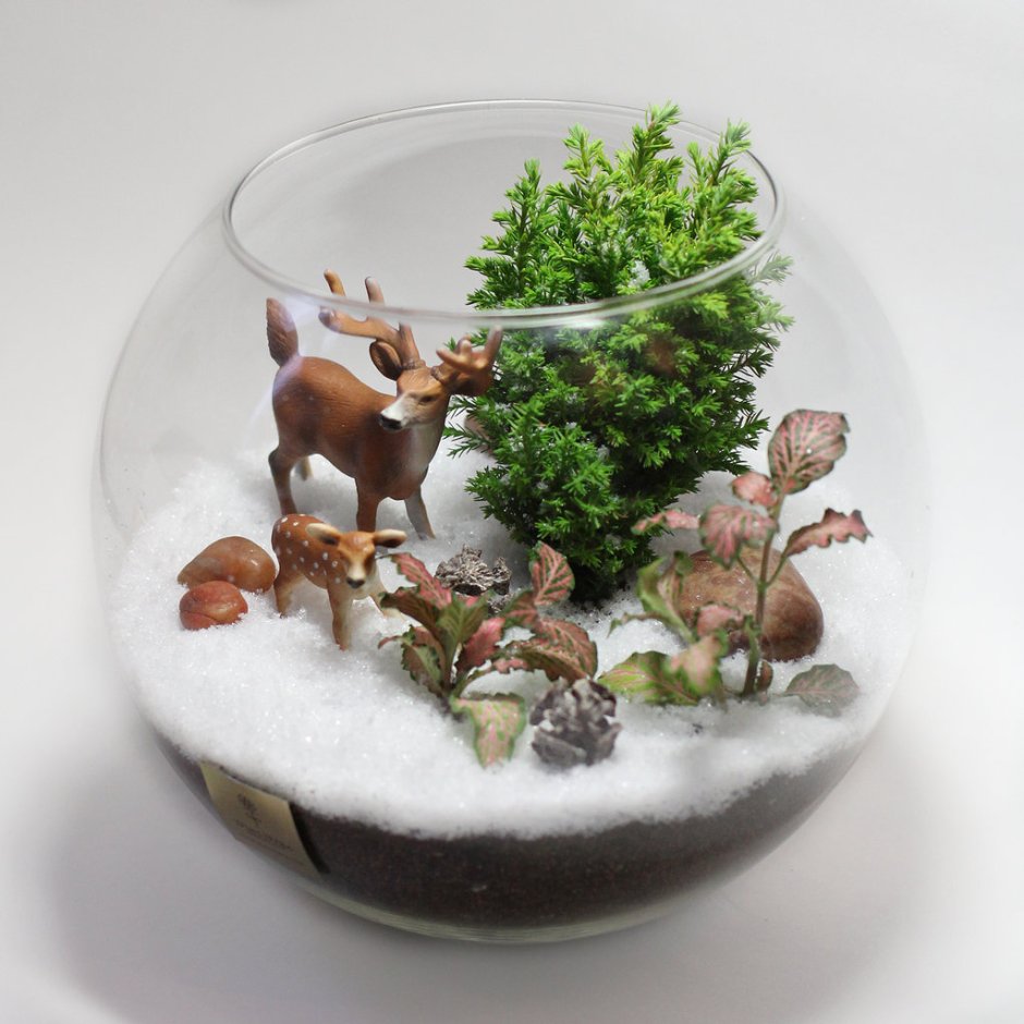 Минисад в аквариуме