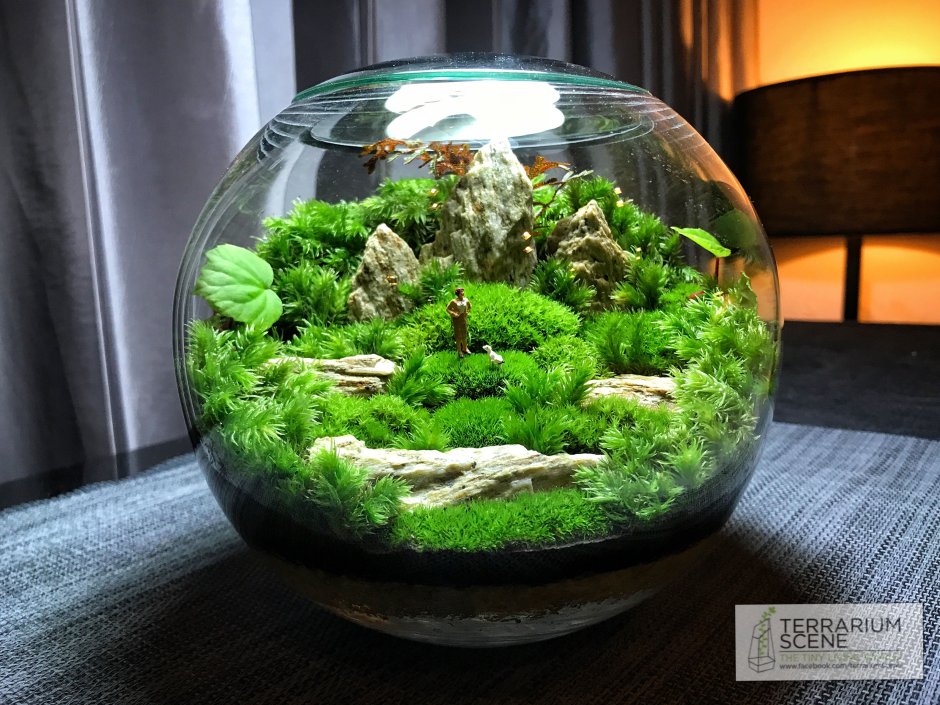 Аквариум дизайн пляж