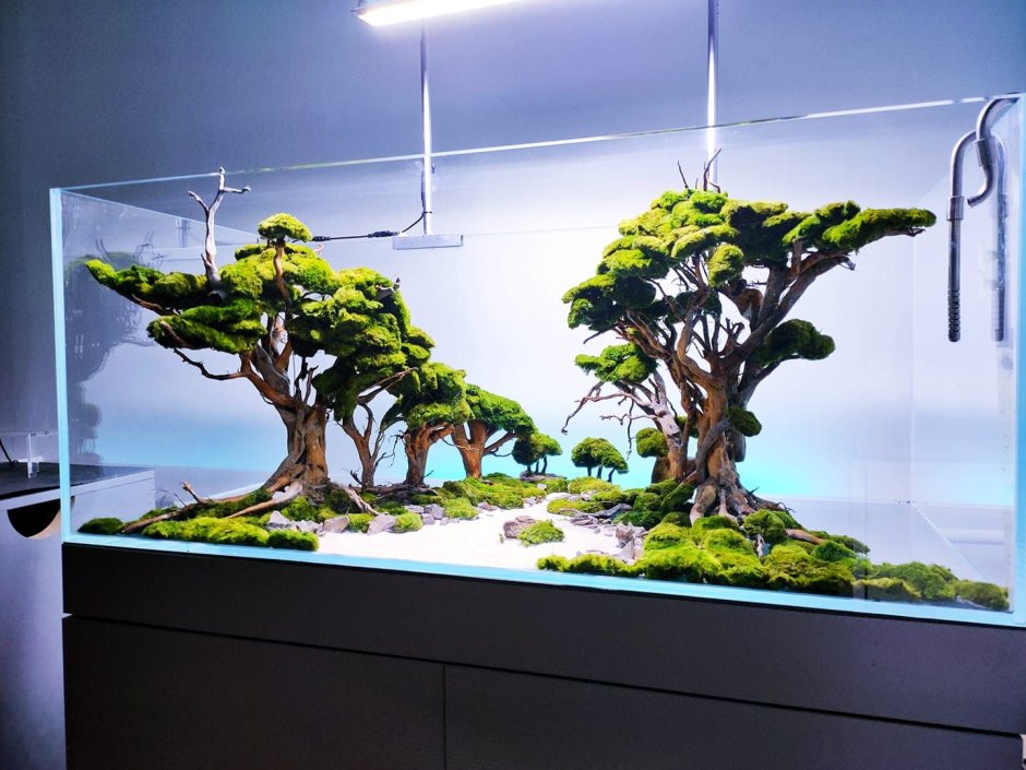 Террариум флорариум водопад