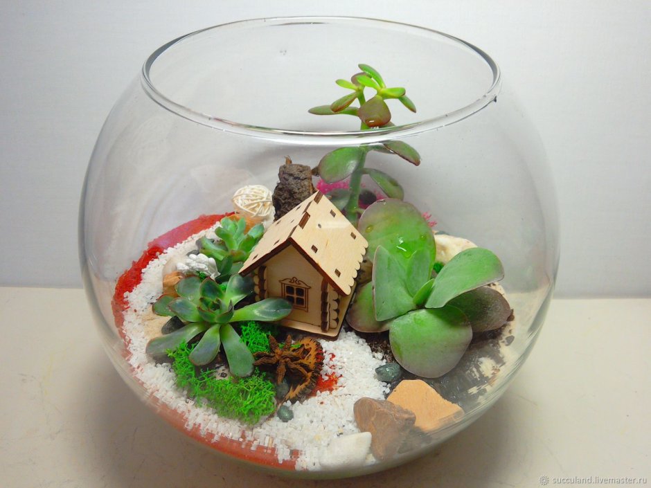 Японский садик в горшке