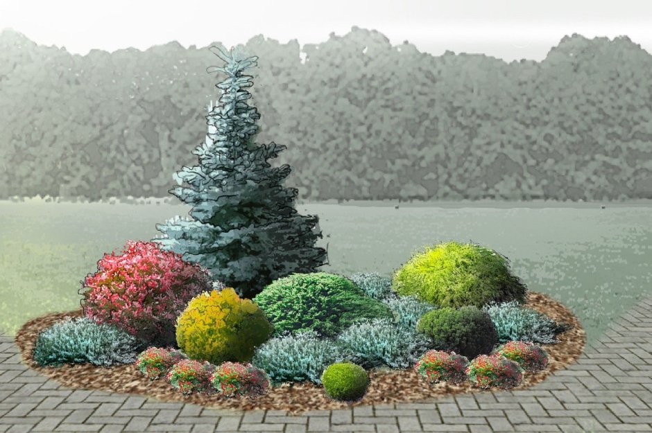 Хвойные композиции дзен