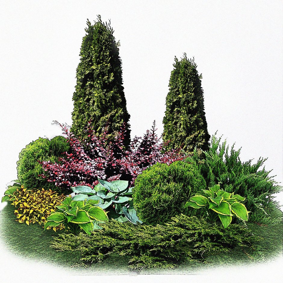 Ель Коника, можжевельник, спирея